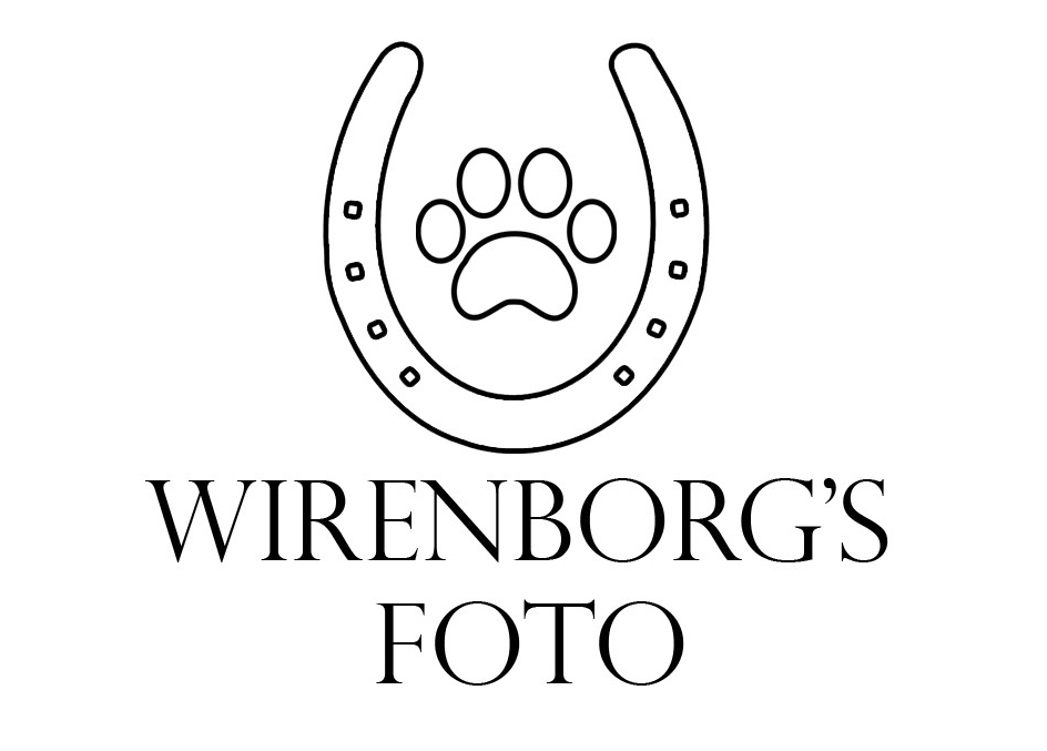 WIRENBORGS_FOTO